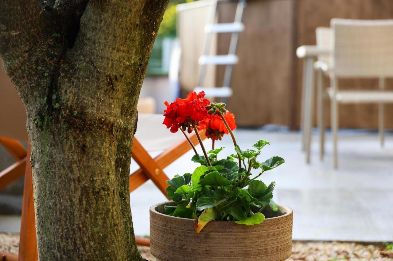 The Florens Residence Near The Beach With The Pool, Bbq And Kids Playground, Zadar Diklo Exteriör bild